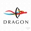 Dragon Science Reborn logo