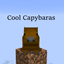 Cool Capybaras logo