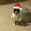 Irresponsibles 3: Christmas Time logo