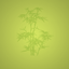 Bamboo logo