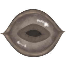 The SCP SMP project