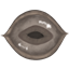 The SCP SMP project logo