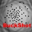 Buckshot logo