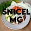 SnicelMC [Fabric] logo