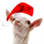 Craftsmas logo