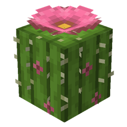 Mo's Desert Bloom project image
