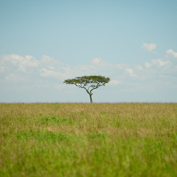 Grassland Essentials logo