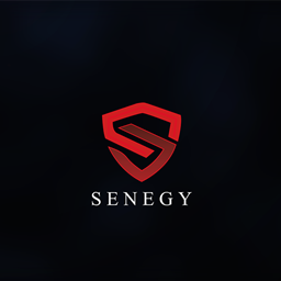 Senegy project image