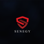 Senegy logo
