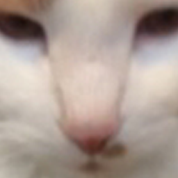 Orangecat Modpack logo