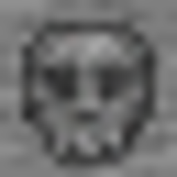 Fossil Variations logo