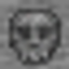 Fossil Variations logo