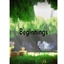 Beginnings : A new world logo