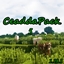 CeaddaPack 5 logo