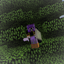 Cody's Tech Exploration and Magic Pack logo