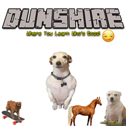 Dunshire's Quest Realm project image