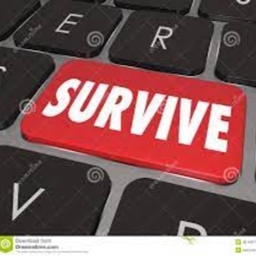 SurvivalG project image