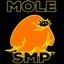 MoleSMP logo