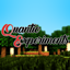 Quantic Experiments logo