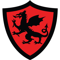 Mystical Dragon Craft logo