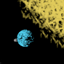 All Celestial Bodies SMP logo