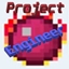 Project Engineer logo