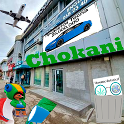 Chokani project image