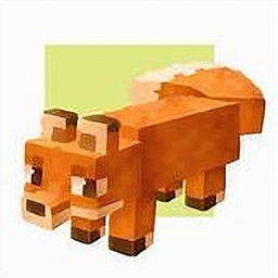 The Fox Pokemon Pack