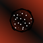 Novas privat SMP logo