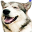 Odin's Techpack logo