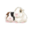 CaviaCraft Pack logo