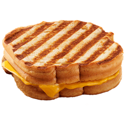 Panini Craft project image