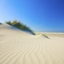 Improved Desert Structures logo