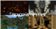 Beacons of Hope [Epic Parkour] logo