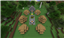 Goblins! Mod logo