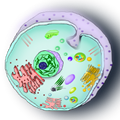 BioTek - (DNA,Cells,Organs & More)