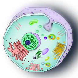 BioTek - (DNA,Cells,Organs & More) logo