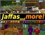 Jaffas and more! avatar