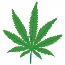cannabis - Minecraft Mods - CurseForge