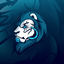 Boundless Skies logo