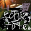 cook's Totem of undying logo