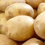 PotatoChunks logo