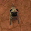 SharedMedia_Puggin logo