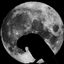 The Crow logo