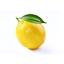 Lemon SMP logo