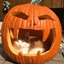 Pinestripe Murderers logo