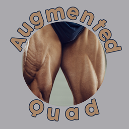Augmented Quad project image