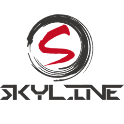 Skyline Sof Raid Mods logo