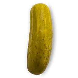 Technological Pickle