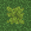 Spore Blossom Bottom logo